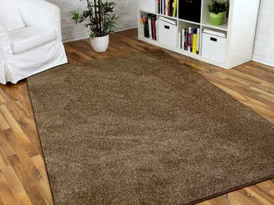 Produktbild von Hochflor Velours Teppich Triumph Karamell in 24 Größen, Größe:300x400 cm