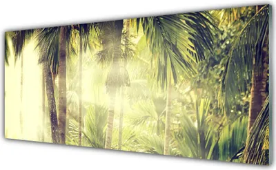 Produktbild von Acrylglasbilder 125x50 Wandbild Druck Wald Natur