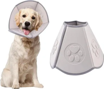 Produktbild von Famanu Hundekegel für die postoperative Erholung - Transparent, verstellbar und faltbar