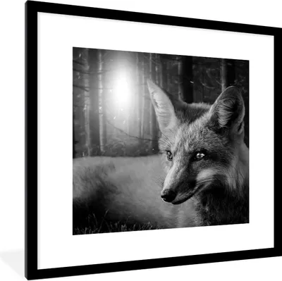 Produktbild von MuchoWow® Gerahmtes Poster Tiere - Fuchs - Wald - Schwarz - Weiß 40x40 cm - Poster mit Schwarzem Bilderrahmen Wandposter Rahmen Foto Bilder - Poster - Plakat im Rahmen