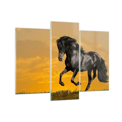 Produktbild von Bilder auf glas - Tiere Pferd Laufen Wiese - 130x100cm - Glasbilder - Wandbilder - Kunstdruck - zum Aufhängen bereit - Wanddekoration aus Glas - Glas Bilder - Wandbild auf Glas - GCB130x100-2248