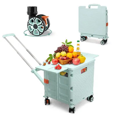 Immagine prodotto di Carrello pieghevole con coperchio scorrevole magnetico