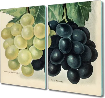 Produktbild von Coloray Herdabdeckplatte 2x30x52 cm Schneidebrett Kochplattenabdeckung Küchenbrett Hackbrett - Obst Trauben Blätter