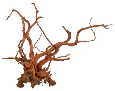 Zdjęcie produktu dla Amtra Legno Red Spider King – rozmiar XS 10–25 cm, naturalna dekoracja do akwariów, ozdoba z naturalnego pnia, dekoracja do terrariów