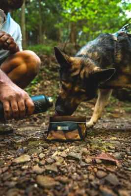 Produktbild von Ruffwear Quencher Moonlight Mountains M