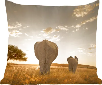 Produktbild von MuchoWow® Zierkissen Sofakissen Wohnzimmer Dekokissen 60x60 cm Elefant - Sonne - Safari - Sitzfläche - Foto Polster
