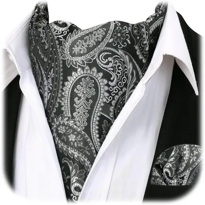 Imagen del producto de Bufanda tipo corbata para hombre, diseño Paisley, estilo Ascot, color gris plateado, talla única