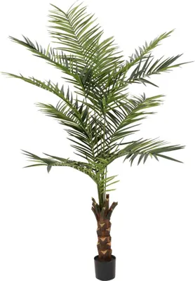 Produktbild von artplants.de Kunst Kentia Palme Marcos, 240cm - Kunststoff Palme