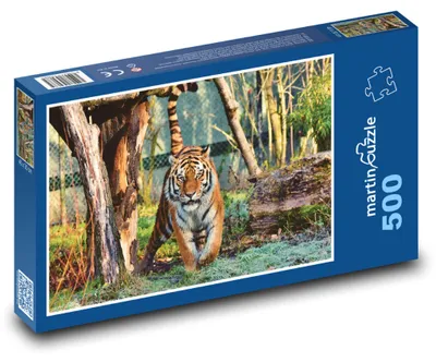 Obrázek produktu pro martinpuzzle - Puzzle 500 - Tygr Ussurijský