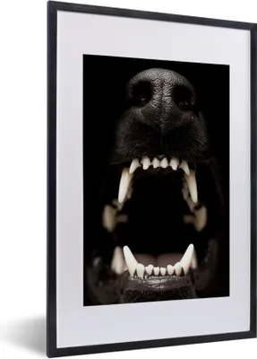 Produktbild von MuchoWow® MuchoWow® Gerahmtes Poster Nahaufnahme knurrender Hund 40x60 cm - Poster mit zchwarzem Bilderrahmen - Poster in Rahmen