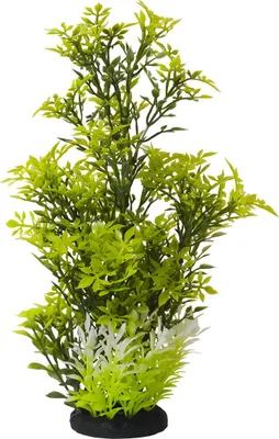 Produktbild von Nobby Aquariendekoration Aqua Ornaments Rotala