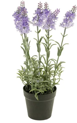Produktbild von künstlicher Lavendel lila im Topf H. 28cm D. 9cm Emerald Kunstblumen