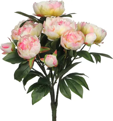 Produktbild von Mica Decorations Kunstliche Blumen Bouquet von Pfingstrosen - rosa - 55 cm