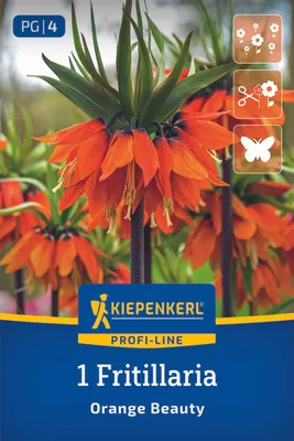 Produktbild von Kiepenkerl Profi-Line Kaiserkrone Orange Beauty Fritillaria imperialis 1 Zwiebel