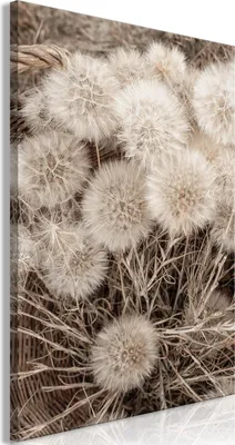 Produktbild von Vlies Leinwandbild - Delicate Bunch (1 Part) Vertical 40x60 cm Blumen b-B-0635-b-a