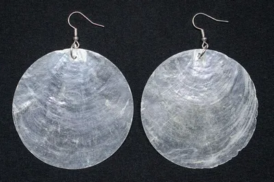 Produktbild von Perlmutt 6cm Ohrringe Miniblings Hänger Muschel Perle Kreis Scheibe Weiß 60mm