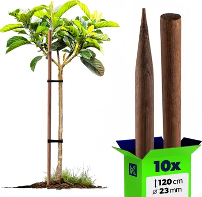 Produktbild von KADAX Holzstäbe 120 cm x 23 mm, 10er Set, Pflanzstäbe aus imprägniertem Holz, Holzpfähle als Rankhilfe für Pflanzen, Bäume, Tomaten & Sträucher, Tomatenstäbe (10 Stück, 120 cm)
