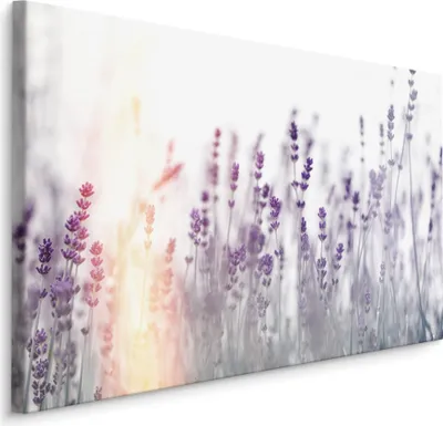 Produktbild von Fabelhafte Canvas LEINWAND BILDER 120x80 cm XXL Kunstdruck Natur Blumen Lavendel Wiese