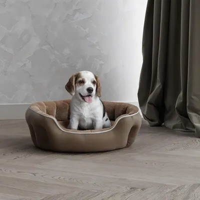 Immagine prodotto di Cuccia invernale confortevole per cani e gatti, color beige, dimensioni 48 x 42 x 16 cm