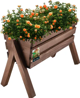 A wooden planter box filled with orange flowers and green foliage, set on a white background.
