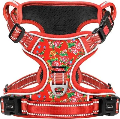 Produktbild von Verstellbares reflektierendes Hunde-Harness XL