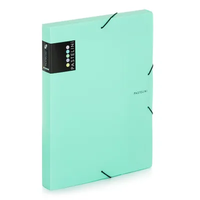 Immagine prodotto di Scatola portadocumenti Pastelini A4, verde