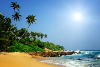 Produktbild von Papermoon VLIES Fototapete, Digitaldruck, Sri Lanka tropischer Strand (069)