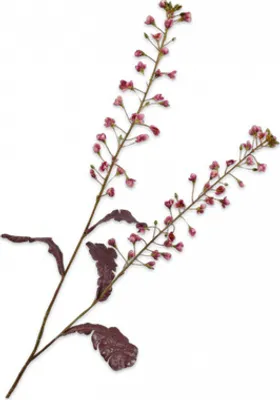 Produktbild von Silk-ka Kunstblume - Seidenblume Primelzweig rosa 85 cm