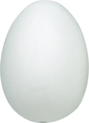 Produktbild von KNORR PRANDELL 216924000 Ei 60 x 45 mm Kunststoff weiss