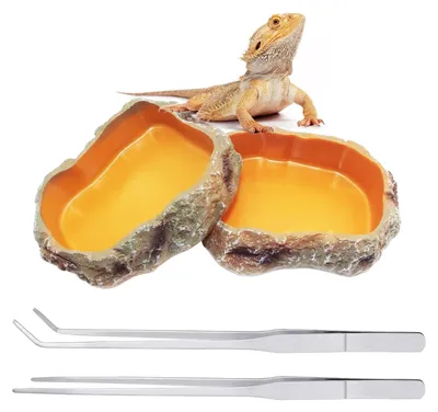 Produktbild von Terrariumbedarf – Terrarien Zubehör – Wassernapf – Pinzette, 27 cm – Edelstahl – Für Reptilien