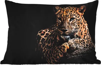 Produktbild von MuchoWow® Outdoor Kissen - Wildtiere - Panther - Porträt - Schwarz - Tiere - 50x30 cm - Wetterfest - Lounge Kissen - Sofa kissen - Wohnzimmer Dekoration