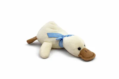Produktbild von Schnabeltier Kuscheltier 23 cm Weiches Plüschtier Stofftier Platypus Geschenk für Kinder und Tierliebhaber