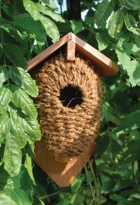 Zdjęcie produktu dla Esschert Design 8714982005619, Wiszące, Naturalny, Kokos, Drewno, 102 mm, 152 mm, 262 mm