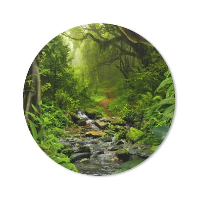 Produktbild von MuchoWow® Mauspad Mousepad Natur - Wasser - Dschungel - Wald - Tropisch 40x40 cm - Mousepads - Maus Mat - Pad - Mausunterlage - Schreibtisch Accessoires