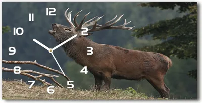 Produktbild von Wanduhr aus Glas – 60x30 cm - Glasbild - Glasuhr - Gehärtetes Glas - weisse-zeiger - Deer auf dem Hügel