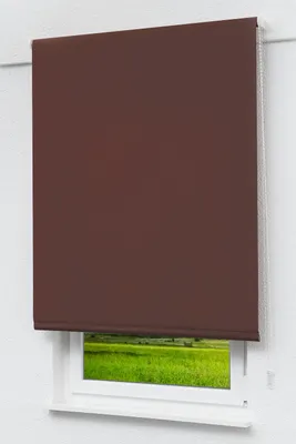 Produktbild von Lysel Outlet - Basisrollo Tageslicht Schokobraun, (B x H) 92.50cm x 240cm in braun/schokobraun