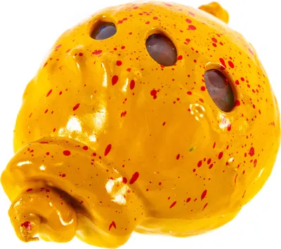 Produktbild von Muschel Antistressball mit Gel-Perlen - Maritimes Quetschspielzeug für Sensorik & Spaß