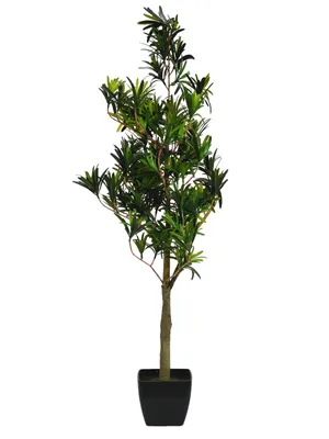Obrázek produktu pro Europalms Steineibe Kunstpflanze 90cm 82511520