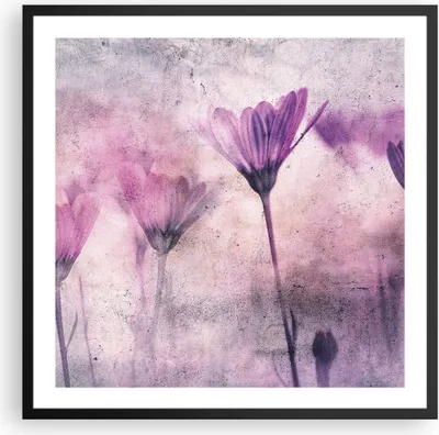 Produktbild von Gerahmtes Poster - Schwarzer Rahmen - Blumen Rosa Vintage - 60x60 cm - Wand Bild - Wanddeko - Wandbilder - Kunstposter - Wandposter - Bilderrahmen - Bilder - Kunstdruck - P2BAC60x60-4432