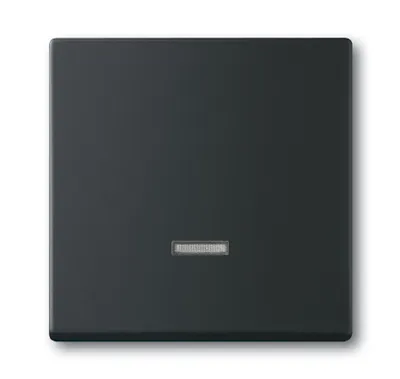 Immagine prodotto di Busch Jaeger 2CKA006599A2968 Elektroantrieb IP20 Schwarz (2CKA006599A2968)