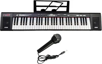 Obrázok produktu pre MQ 6151L - keyboard with microphone for learning to play designed for children
