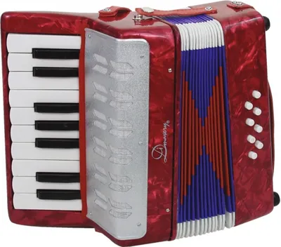 Image de DIMAVERY Accordéon 1 1/2 octaves/8 basses (26058610)