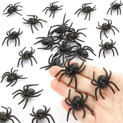 Obrázok produktu pre Halloweenská sada pavúkov – Realistické dekorácie s hororovou tematikou – 30 kusov – Plastové pavúky – Dekorácie na hororovú oslavu – Dekorácie do domu na Halloween – Umelé pavúky