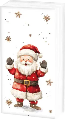 Produktbild von Ambiente Papiertaschentücher Santa im Schnee 10er Pack 21x21 cm