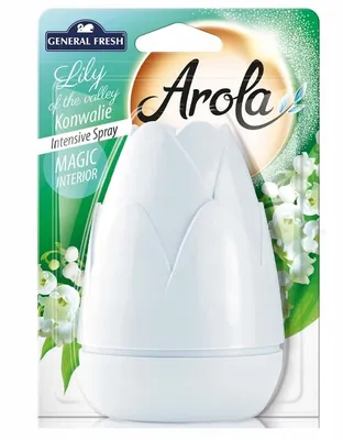 Image de Désodorisant General Fresh Cones au muguet, 40 ml