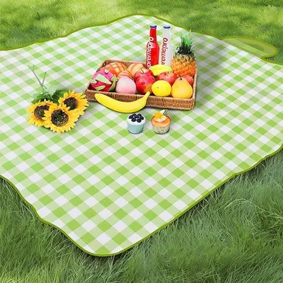 Produktbild von Famanu Picknickdecke Faltbar - Tragbar - Ideal für Camping - 300 cm × 200 cm