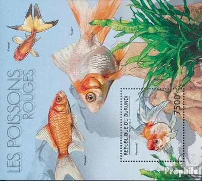 Produktbild von Briefmarken Burundi 2012 Mi Block281 (kompl.Ausg.) postfrisch Goldfische