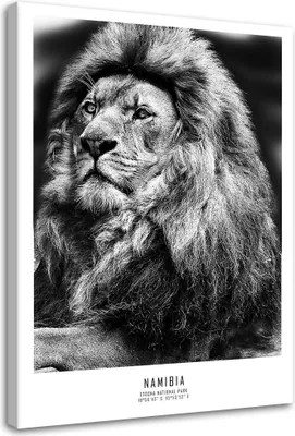 Produktbild von Leinwandbild löwe symbol für afrika 60x90 cm Feeby grau wandbild bereit zum aufhängen