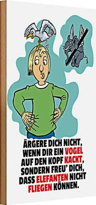 Produktbild von Holzschild Spruch 20x30cm Freu dich Elefanten nicht fliegen