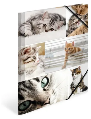 Produktbild von HERMA Sammelmappe A4 Katzen, Kinder Eckspanner-Mappe aus Pappe mit Tier Motiv, Gummizug, Innenklappen und Innendruck für Jungen und Mädchen
